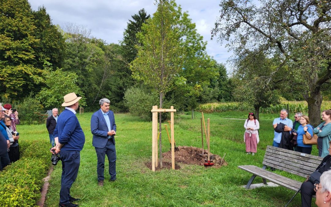 Nachfahrentreffen Baumpflanzung BM