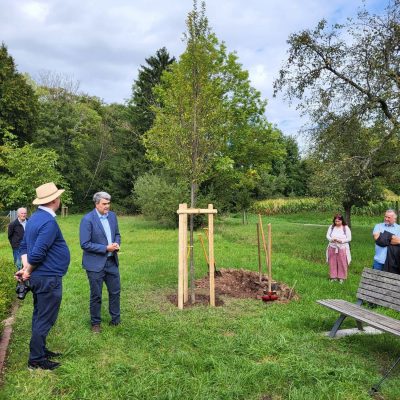 Baumpflanzung zum Tag des Baumes 2026 