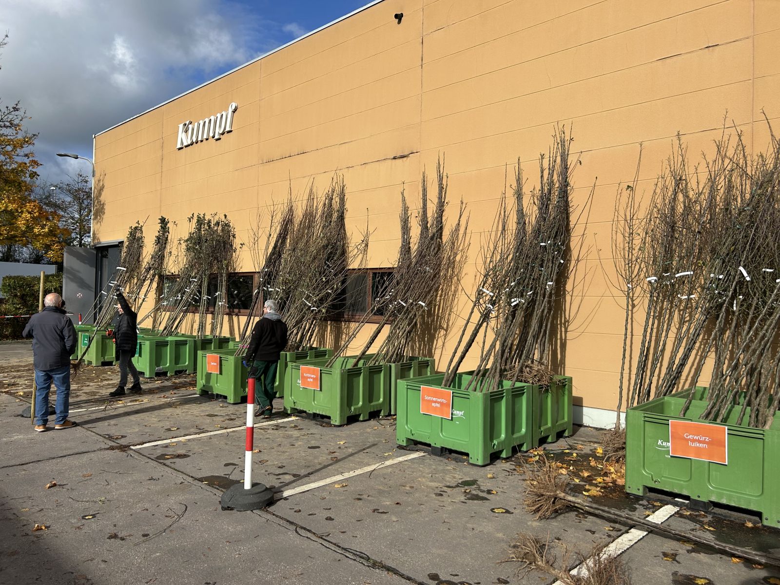 Hochstammbäume bei Kumpf