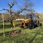 Obstbäume auf kommunalen Flächen gesetzt