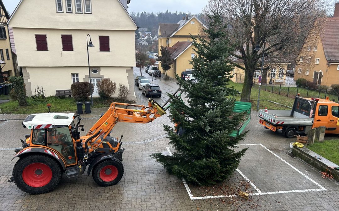 Weihnachtsbaumaufstellung