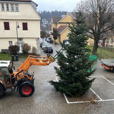 Weihnachtsbaum vor dem Rathaus Freudental 