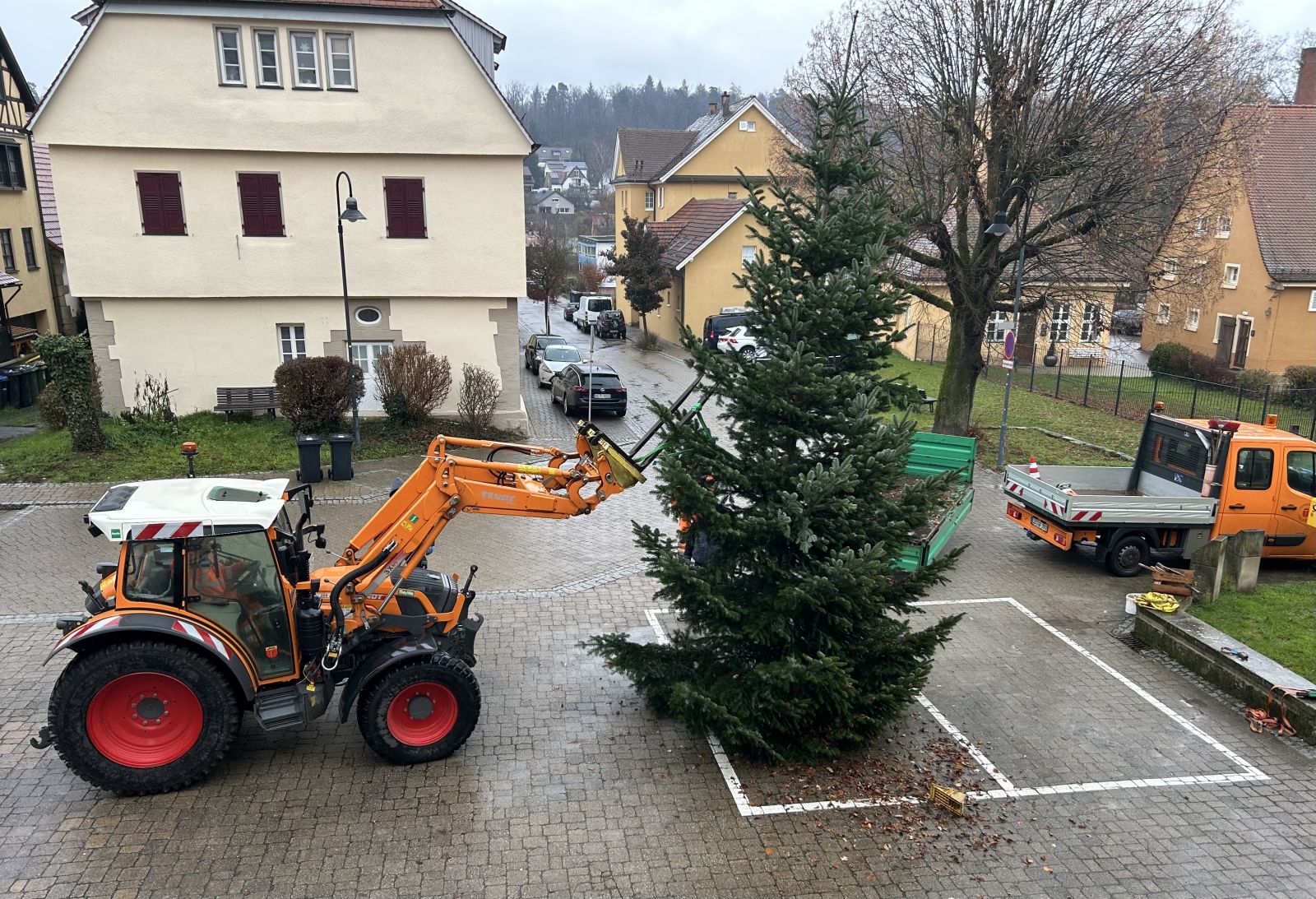 Weihnachtsbaumaufstellung