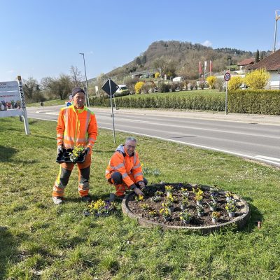 Frühjahrsbepflanzung durch den Bauhof
