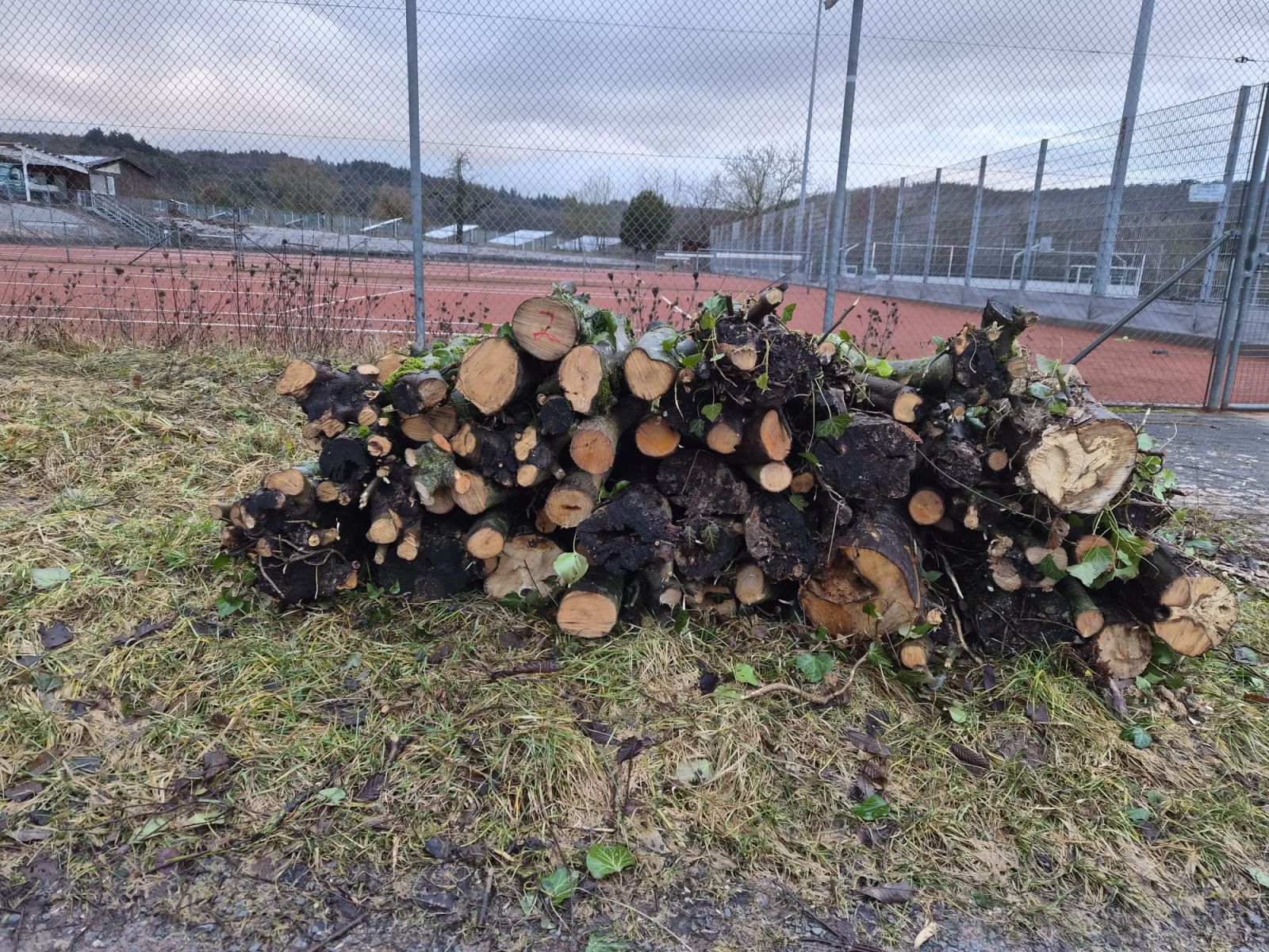 brennholzverkauf2026_los1