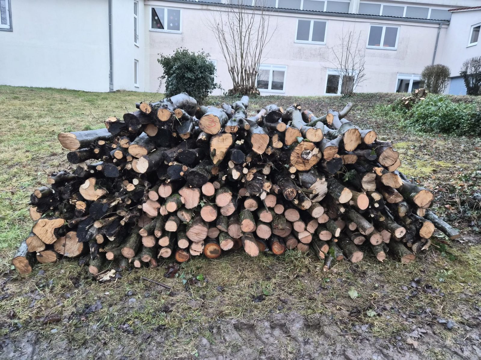 brennholzverkauf2026_los3