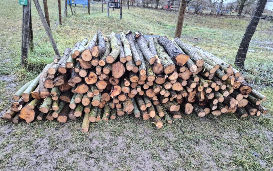 brennholzverkauf2026_los4
