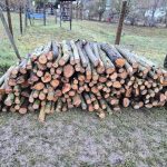 Brennholzverkauf 2026