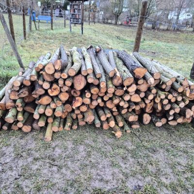 Brennholzverkauf 2026