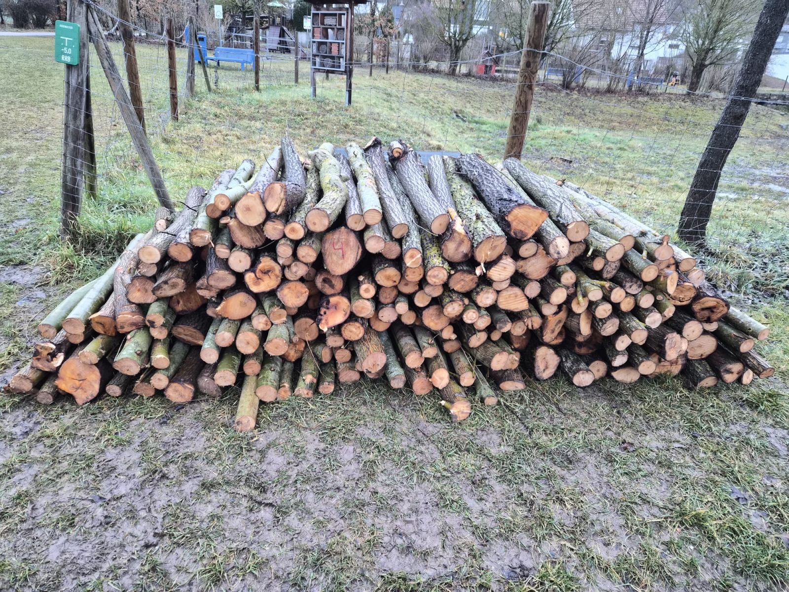 brennholzverkauf2026_los4