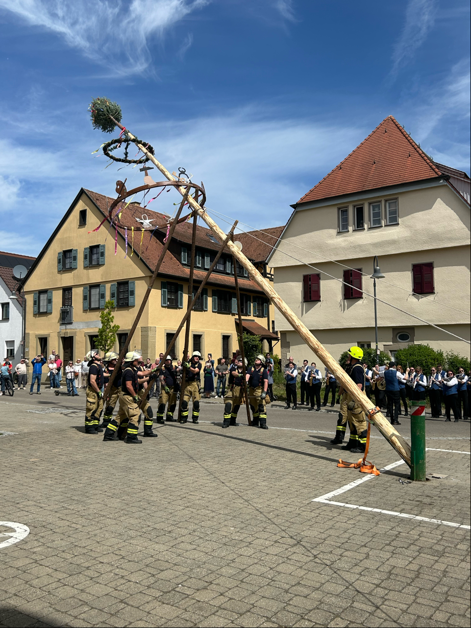Maibaum 1