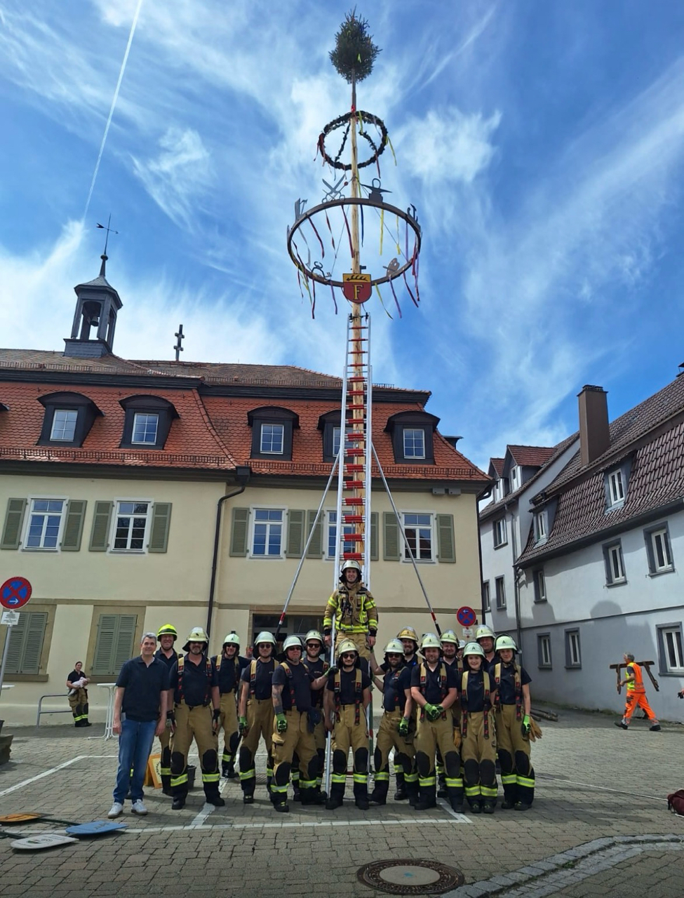 Maibaum 3