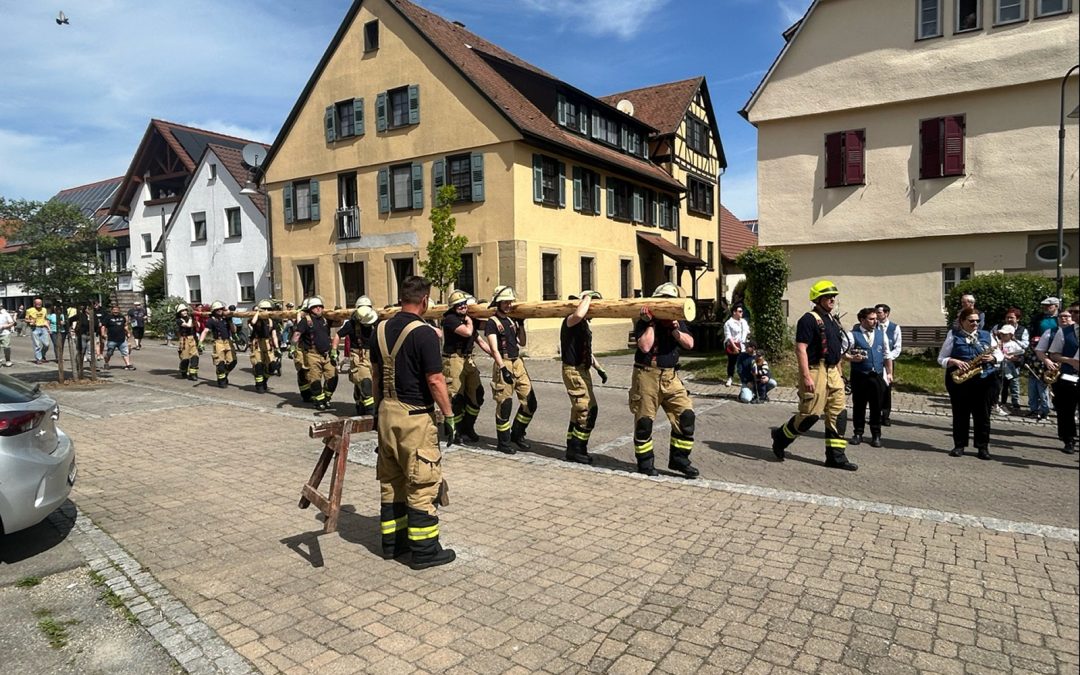 Maibaum 5