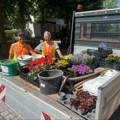 Sommerbepflanzung durch den Gemeindebauhof