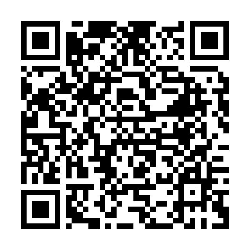 QR Asiatische Hornisse 1