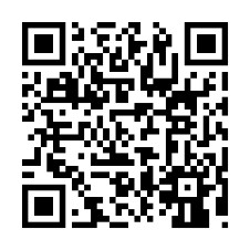 QR Asiatische Hornisse 2