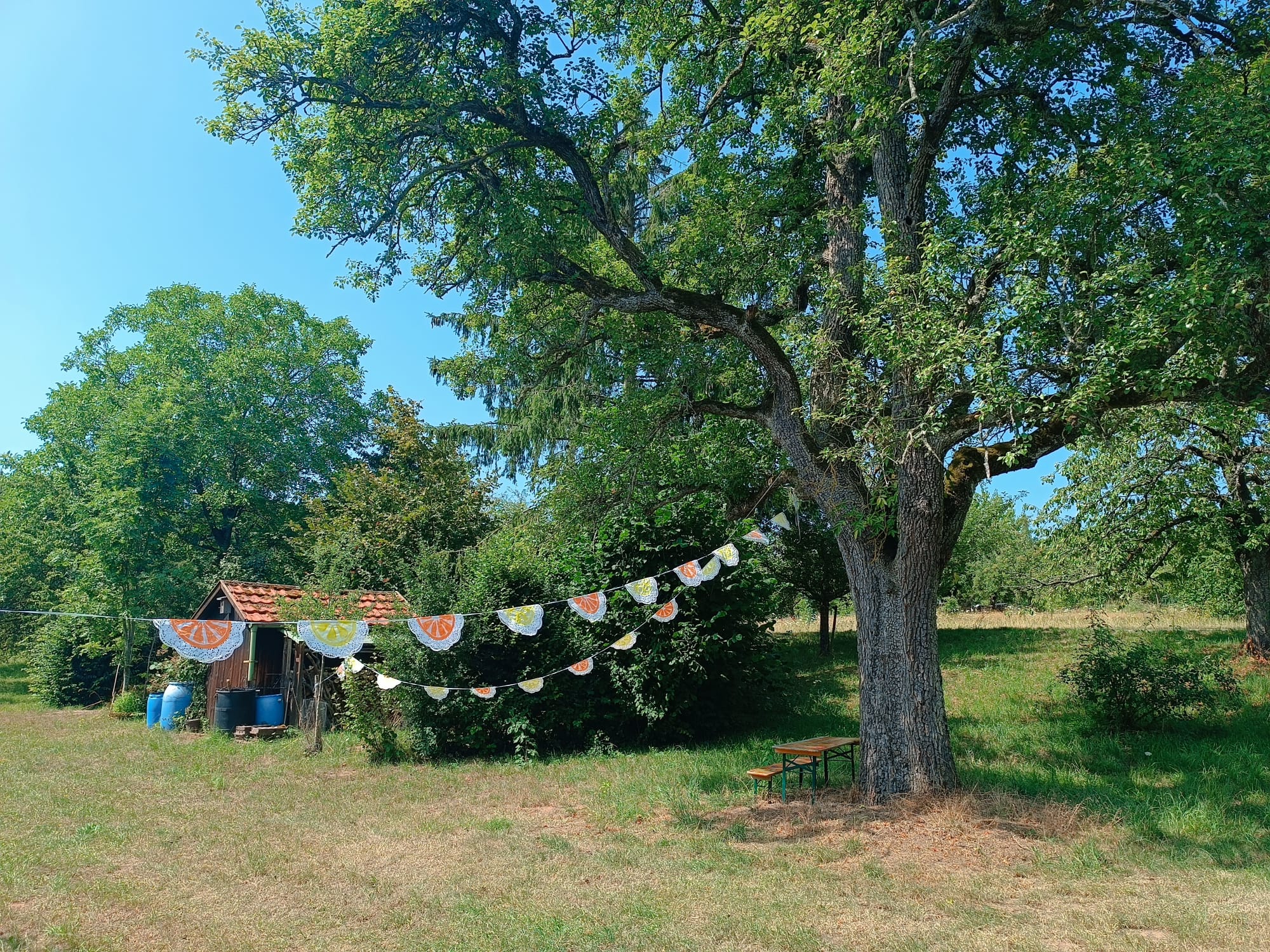 Garten