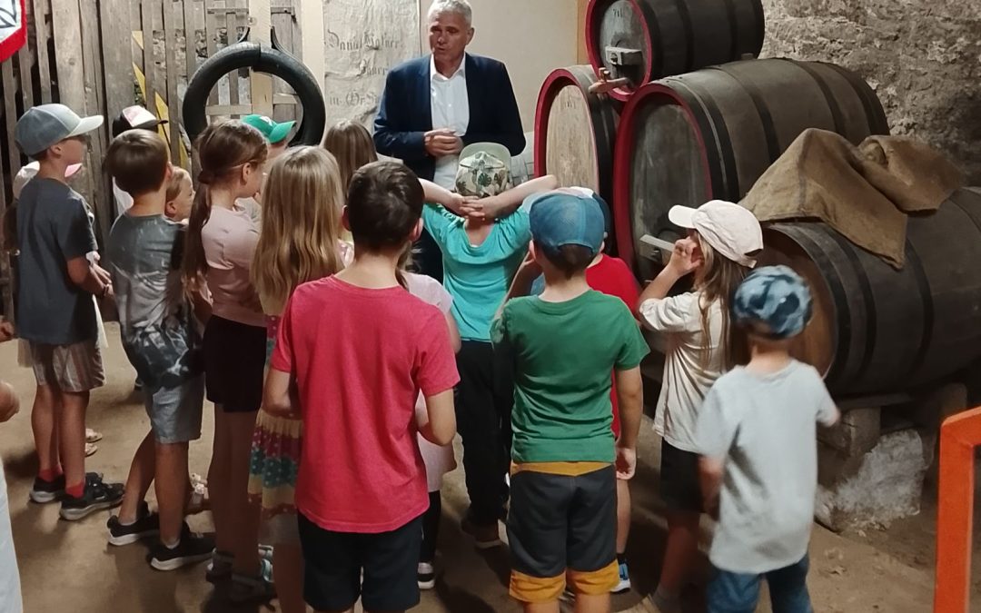Ferienprogramm Sachsenheim 2