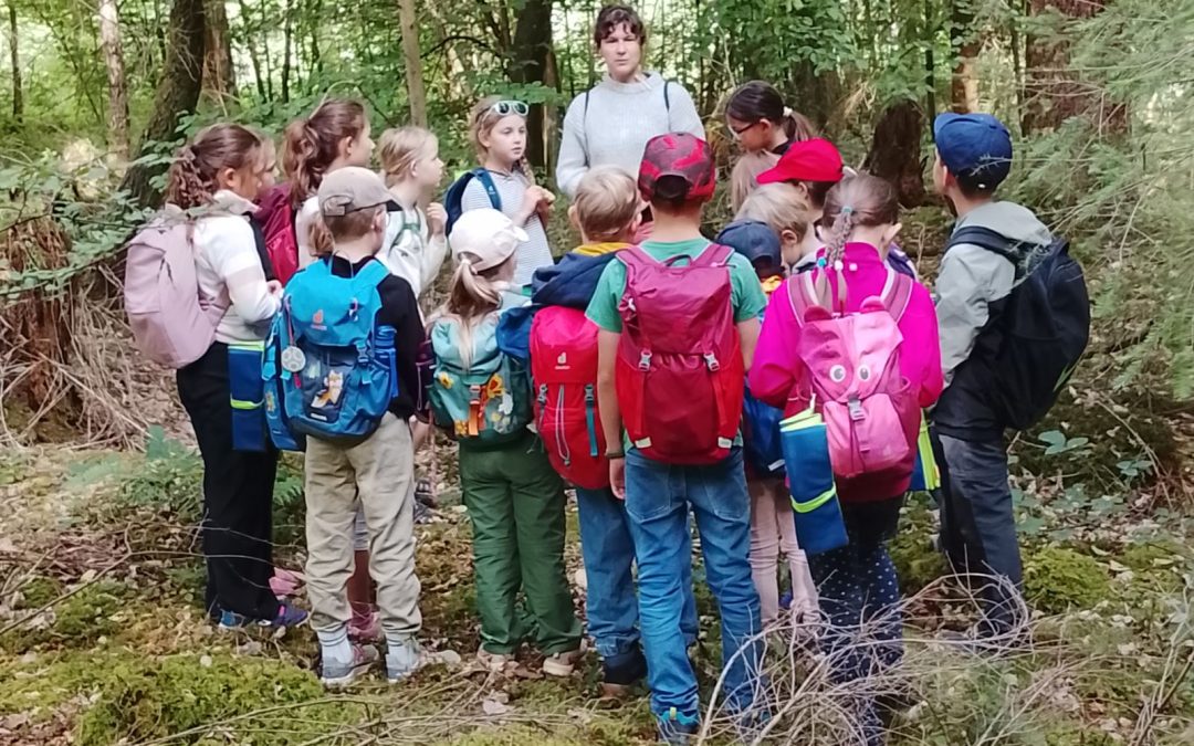 Ferienprogramm Wald 2