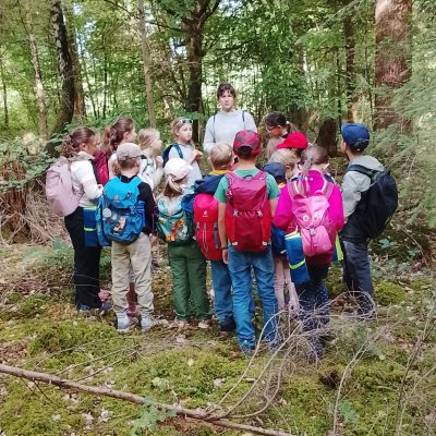 Auf leisen Sohlen durch den Freudentaler Wald