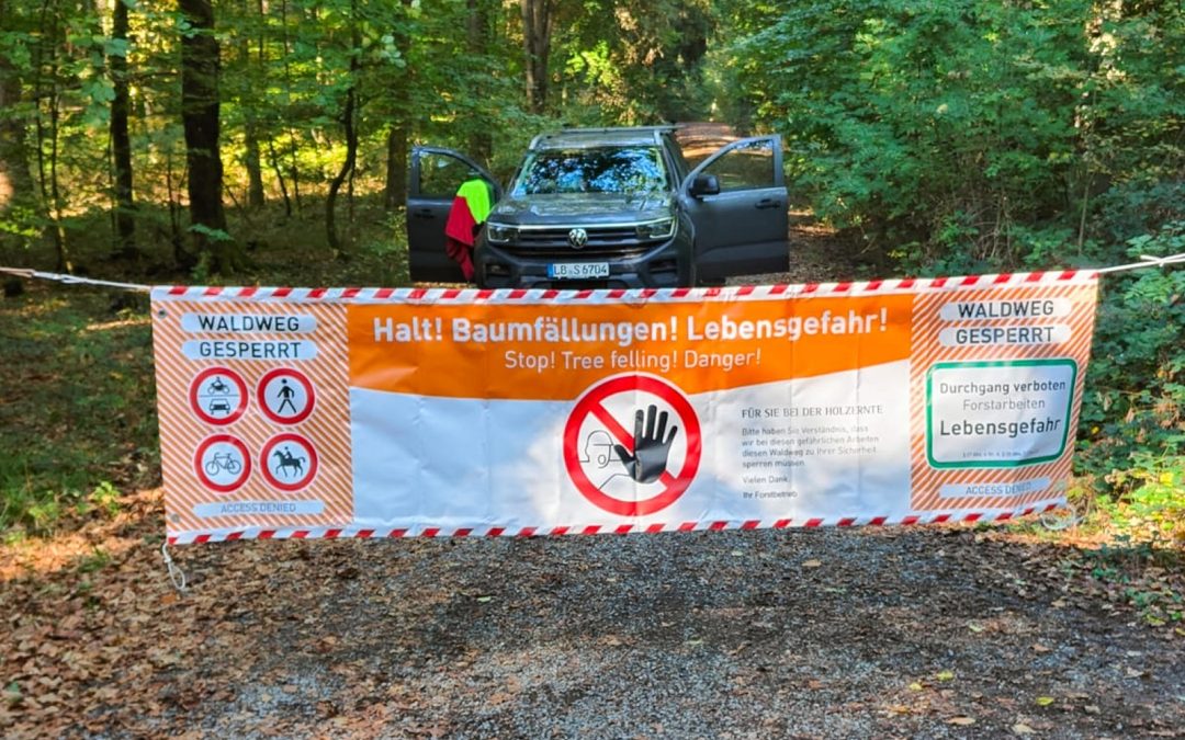 Forstarbeiten