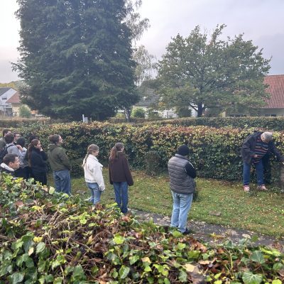 Jugendliche pflegen das Kriegsgräberfeld auf dem Freudentaler Friedhof 